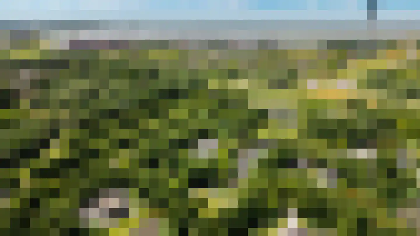 Lommerrijk 11 Lelystad thumbnail 6