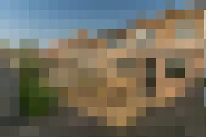 Lomodisweg 13 't Harde thumbnail 32