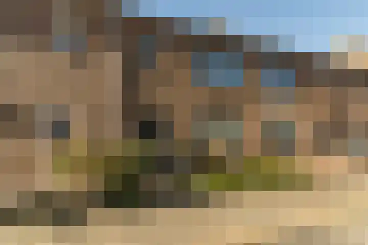 Lomodisweg 13 't Harde thumbnail 5