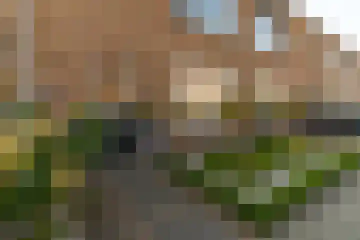 Lomodisweg 13 't Harde thumbnail 6
