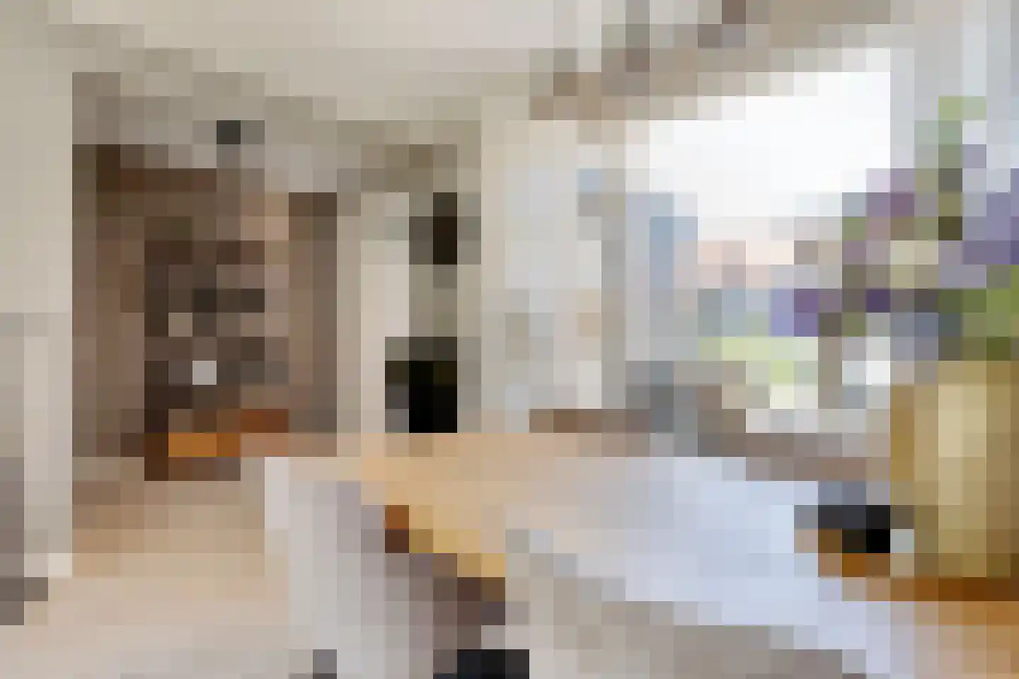 Lomodisweg 25 't Harde thumbnail 15