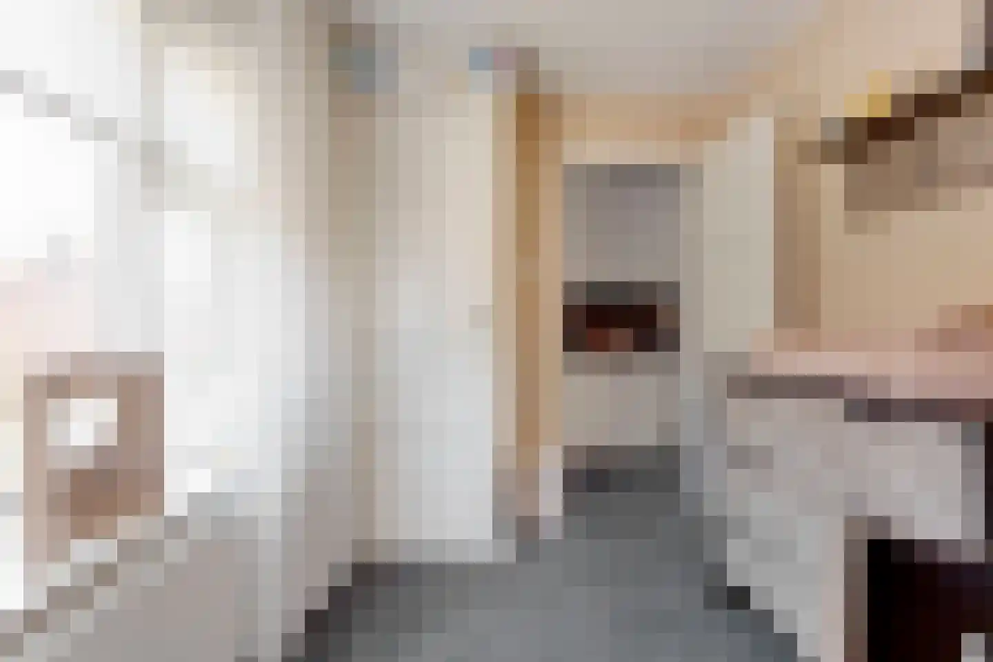 Lomodisweg 25 't Harde thumbnail 25