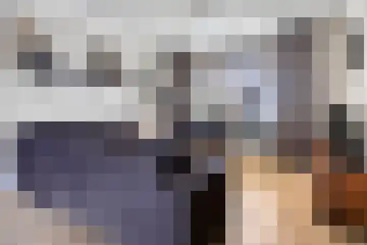 Lomodisweg 7 't Harde thumbnail 11