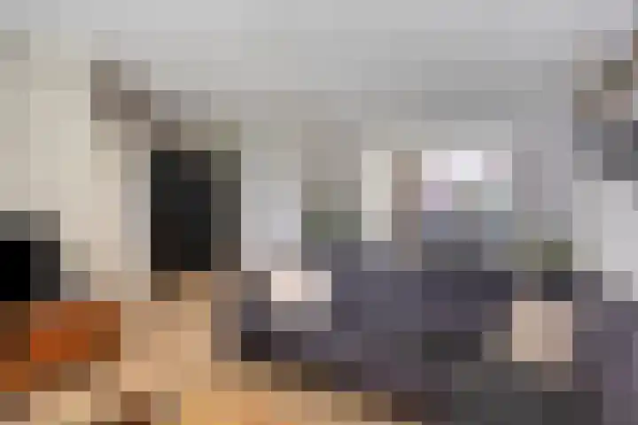 Lomodisweg 7 't Harde thumbnail 12
