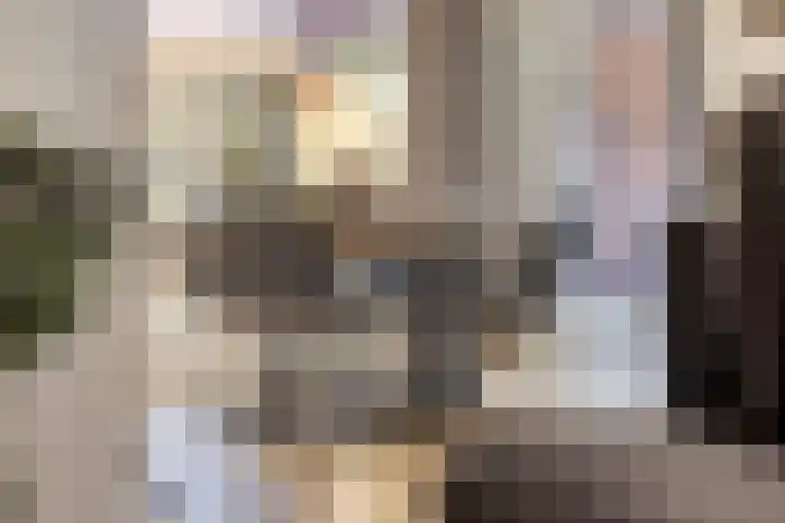 Lomodisweg 7 't Harde thumbnail 13