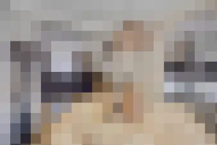 Lomodisweg 7 't Harde thumbnail 14
