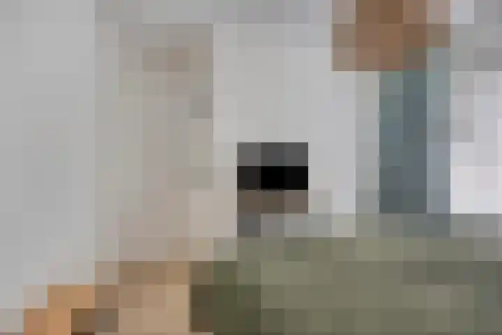 Lomodisweg 7 't Harde thumbnail 20