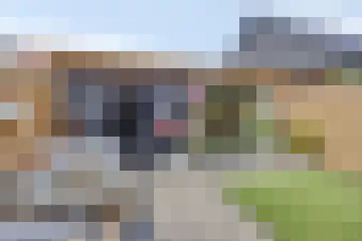 Lomodisweg 7 't Harde thumbnail 24