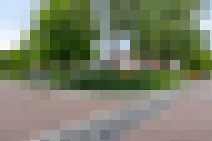 Lomodisweg 7 't Harde thumbnail 29
