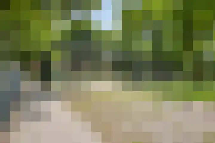 Lomodisweg 7 't Harde thumbnail 31