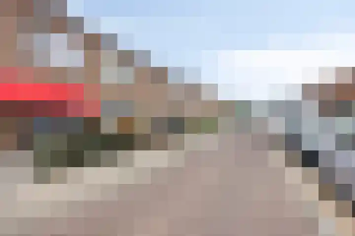 Lomodisweg 7 't Harde thumbnail 6