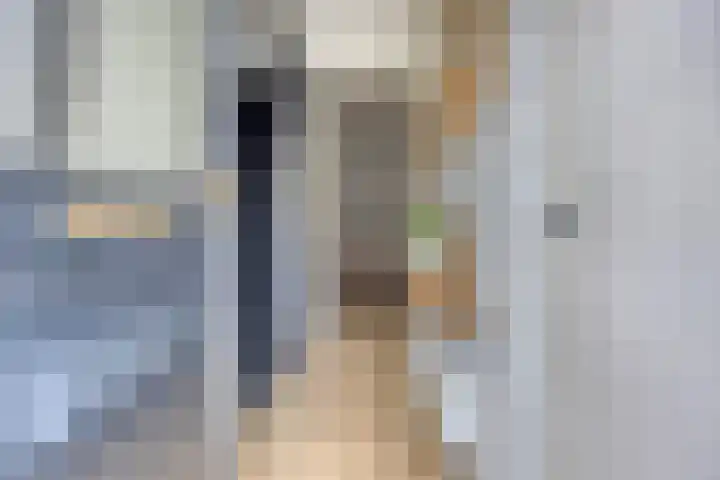 Lomodisweg 7 't Harde thumbnail 8