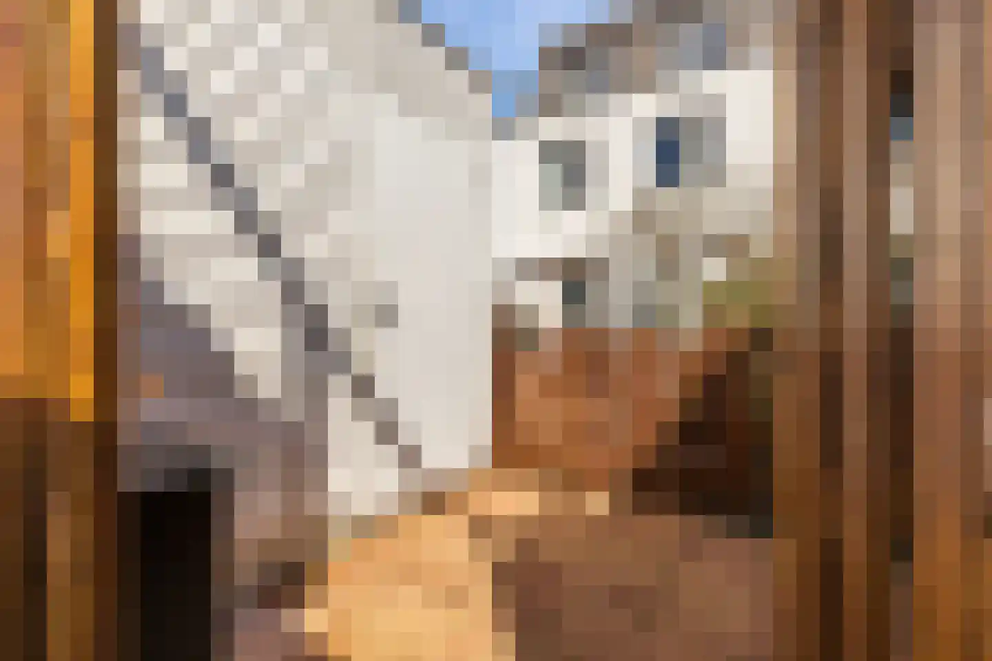 Lomondlaan 90 Amsterdam thumbnail 7