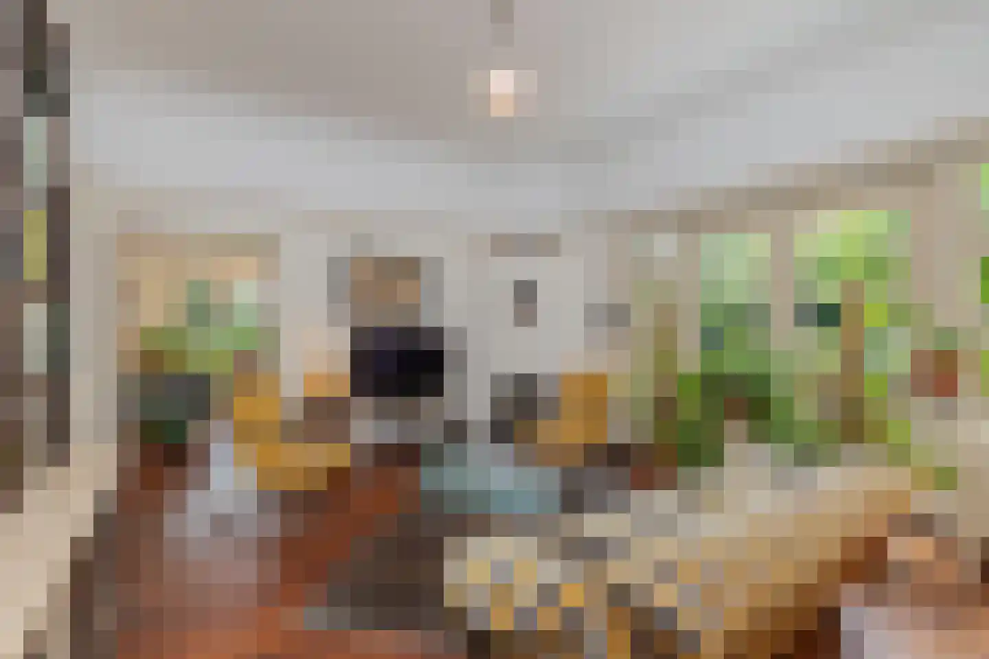 Lonbar Petrilaan 18 Overveen thumbnail 15