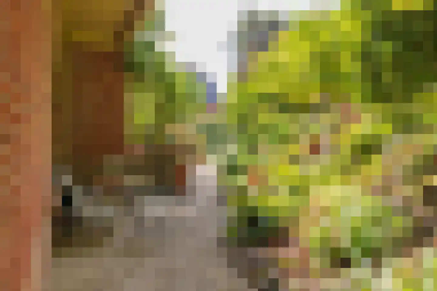 Lonbar Petrilaan 18 Overveen thumbnail 5