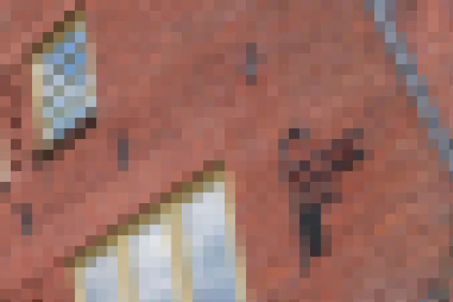 Lonbar Petrilaan 18 Overveen thumbnail 6