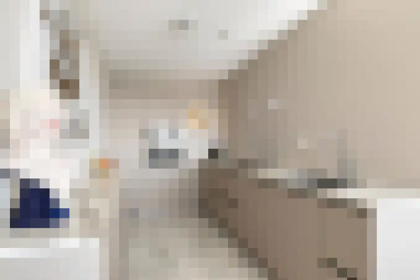 Londenhaven 120 Purmerend thumbnail 13