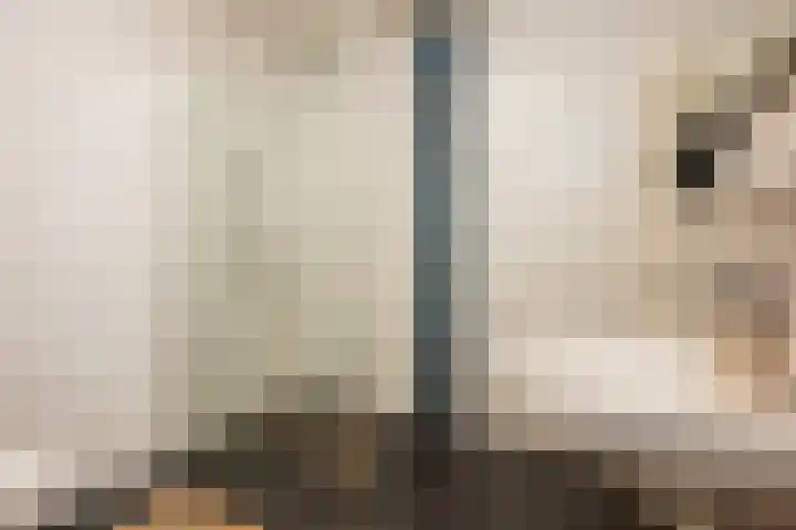 Londenhaven 39 Purmerend thumbnail 31