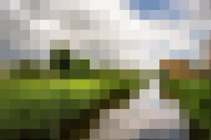 Londenhaven 39 Purmerend thumbnail 46