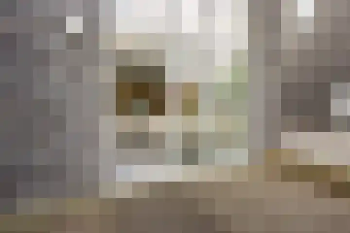 Londenhaven 39 Purmerend thumbnail 6