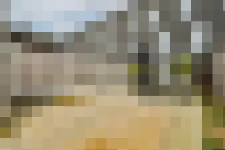 Londenhaven 61 Purmerend thumbnail 26