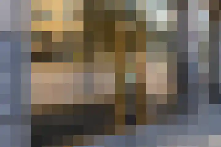 Londenstraat 104 Utrecht thumbnail 11