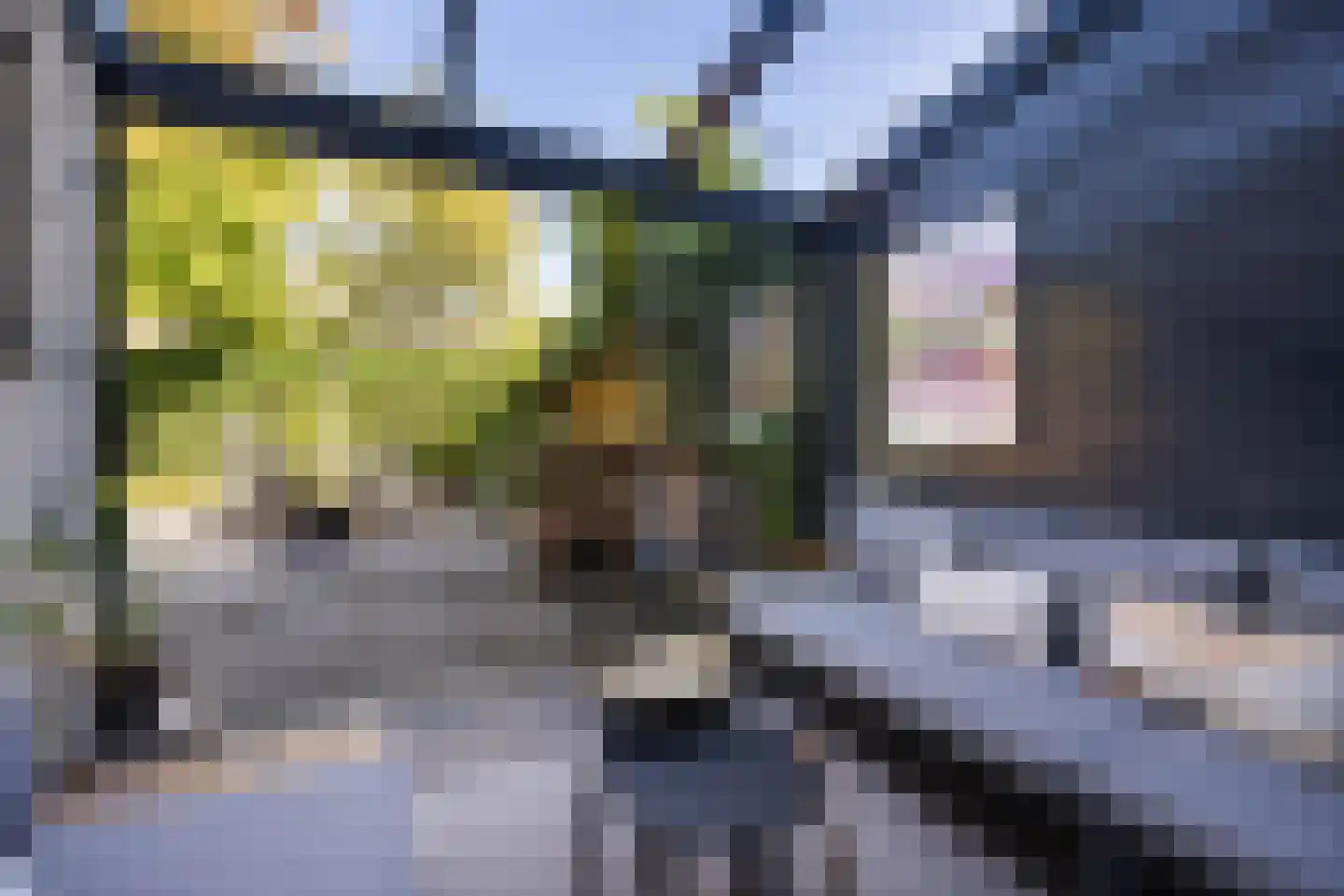 Londenstraat 21 Hengelo thumbnail 13