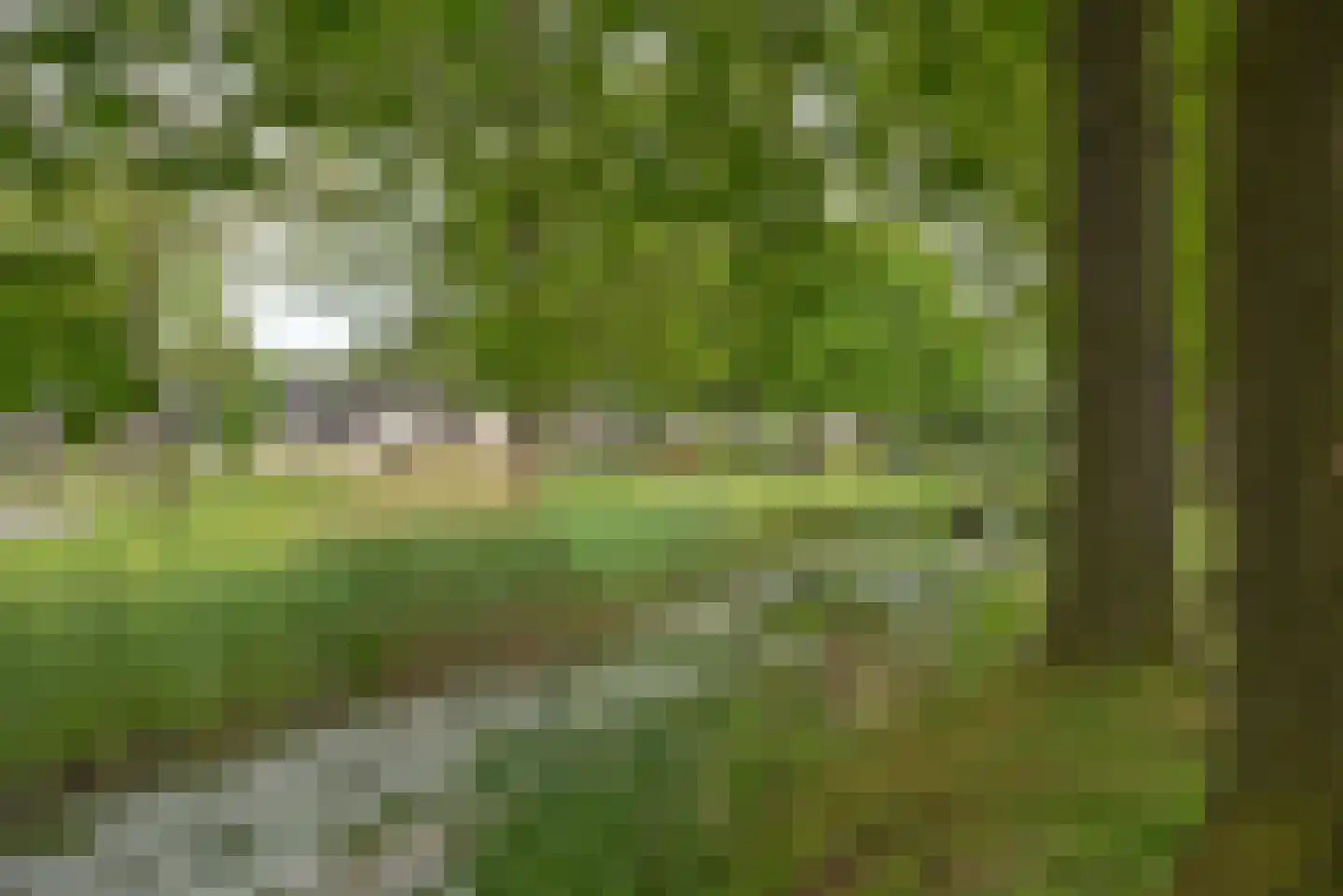 Londenstraat 36 Hengelo thumbnail 33