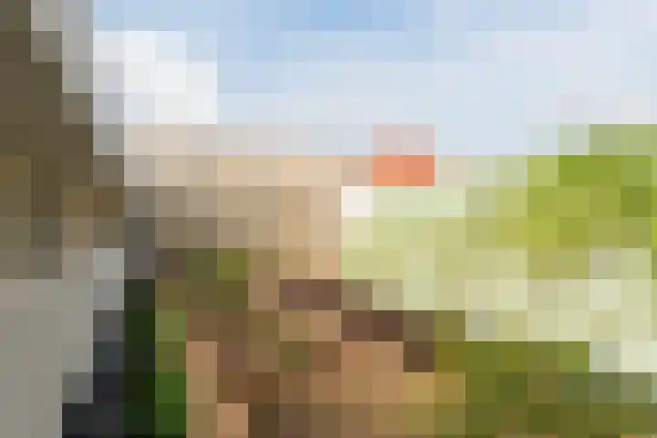 Londenstraat 44 Utrecht thumbnail 52