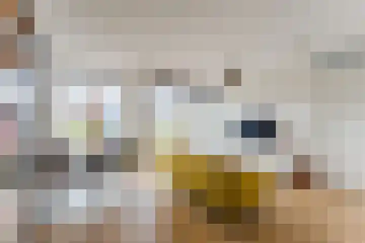 Londenstraat 44 Utrecht thumbnail 8