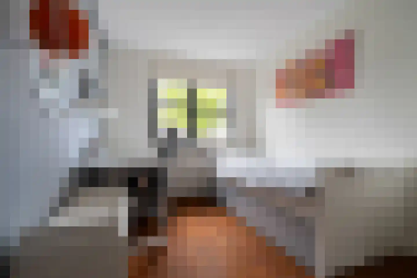 Londenstraat 57 Hengelo thumbnail 33