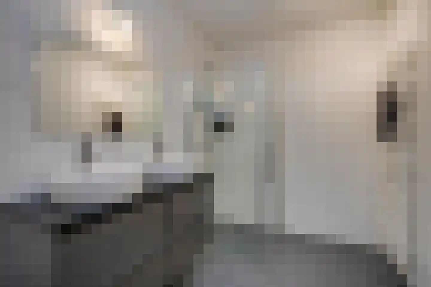Londenstraat 78 Utrecht thumbnail 37
