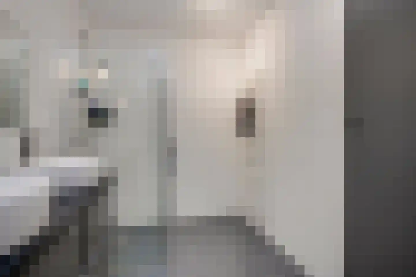 Londenstraat 78 Utrecht thumbnail 38