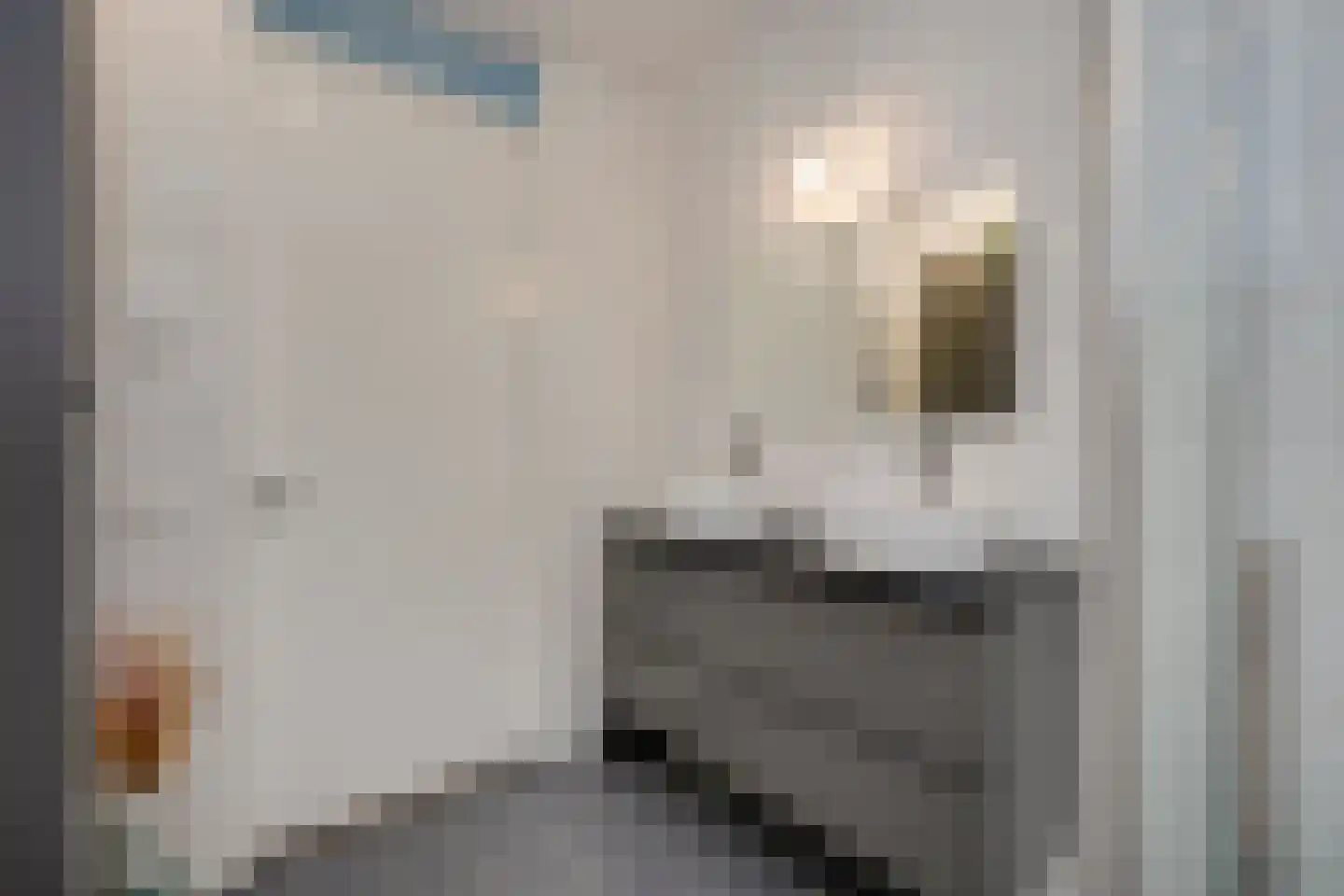 Londenstraat 78 Utrecht thumbnail 39