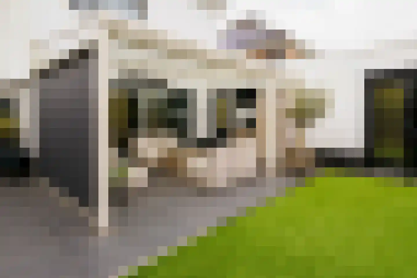 Londenstraat 81 Hengelo thumbnail 32