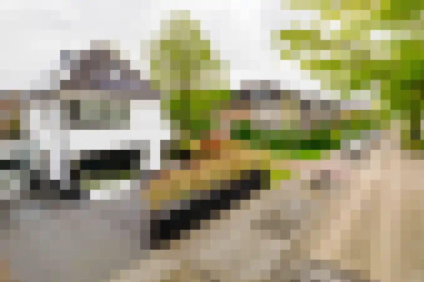 Londenstraat 81 Hengelo thumbnail 39