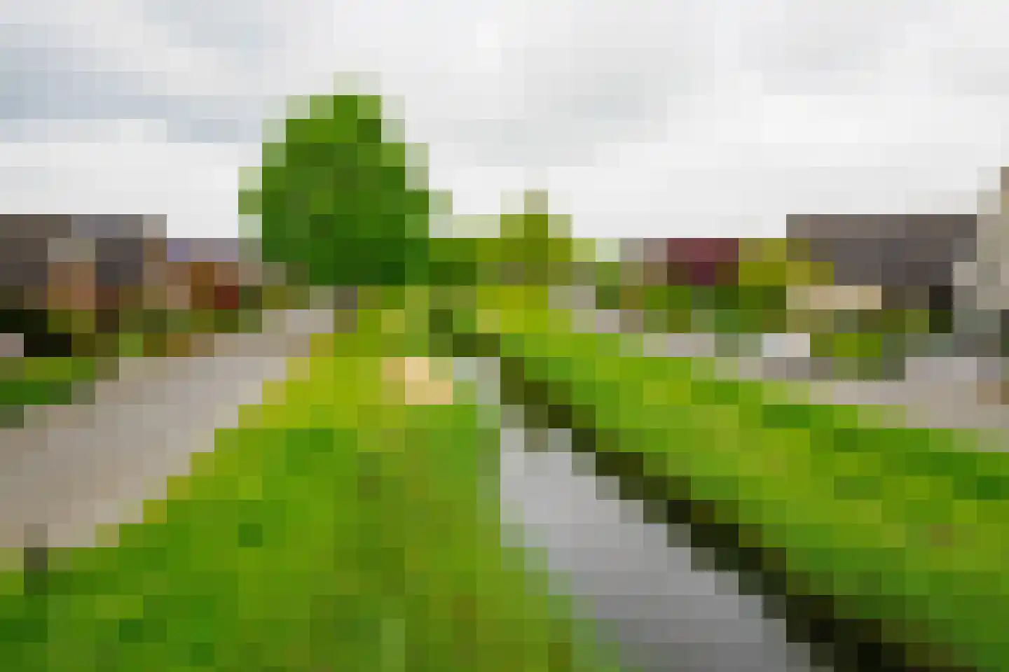 Londenstraat 81 Hengelo thumbnail 43
