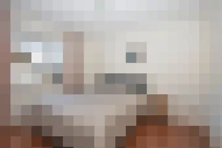 Londenstraat 96 Hengelo thumbnail 4