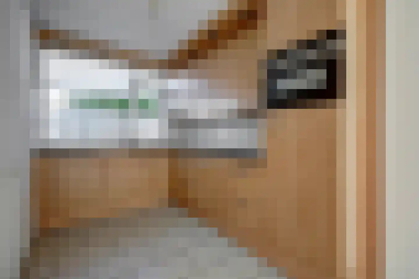 Londiniumdreef 39 Wijk bij Duurstede thumbnail 11