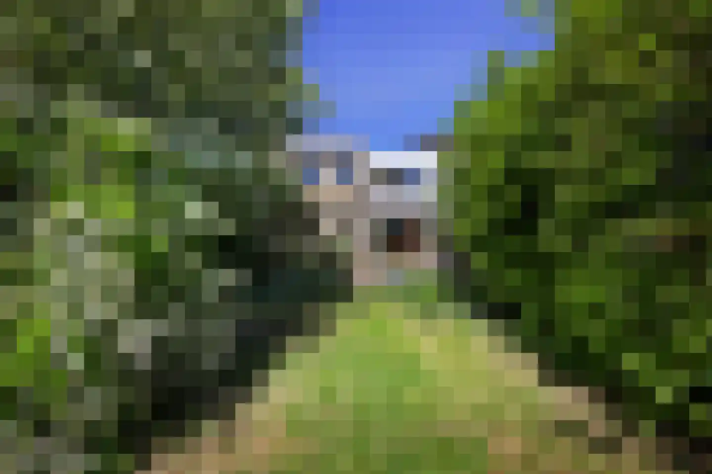 Londiniumdreef 39 Wijk bij Duurstede thumbnail 32