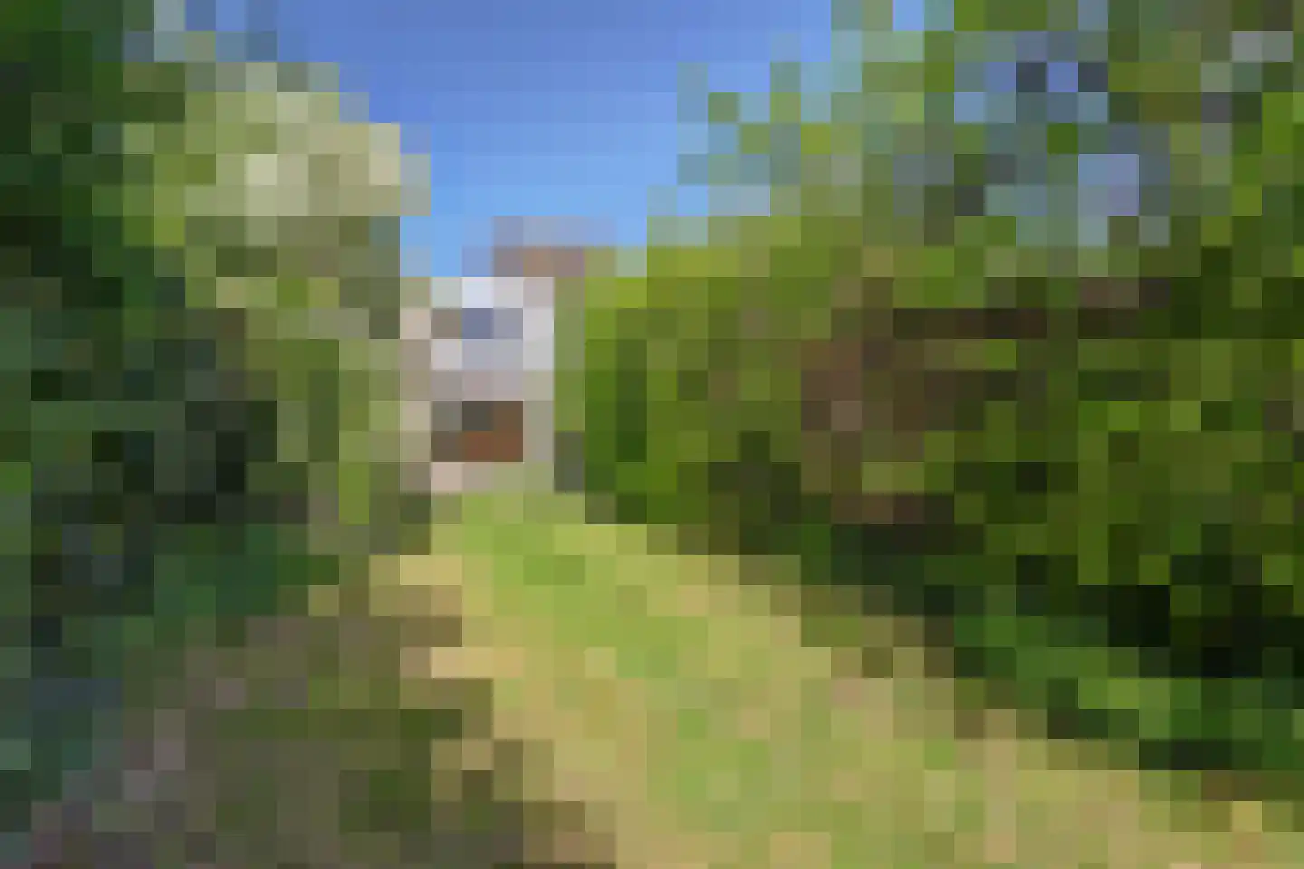 Londiniumdreef 39 Wijk bij Duurstede thumbnail 33