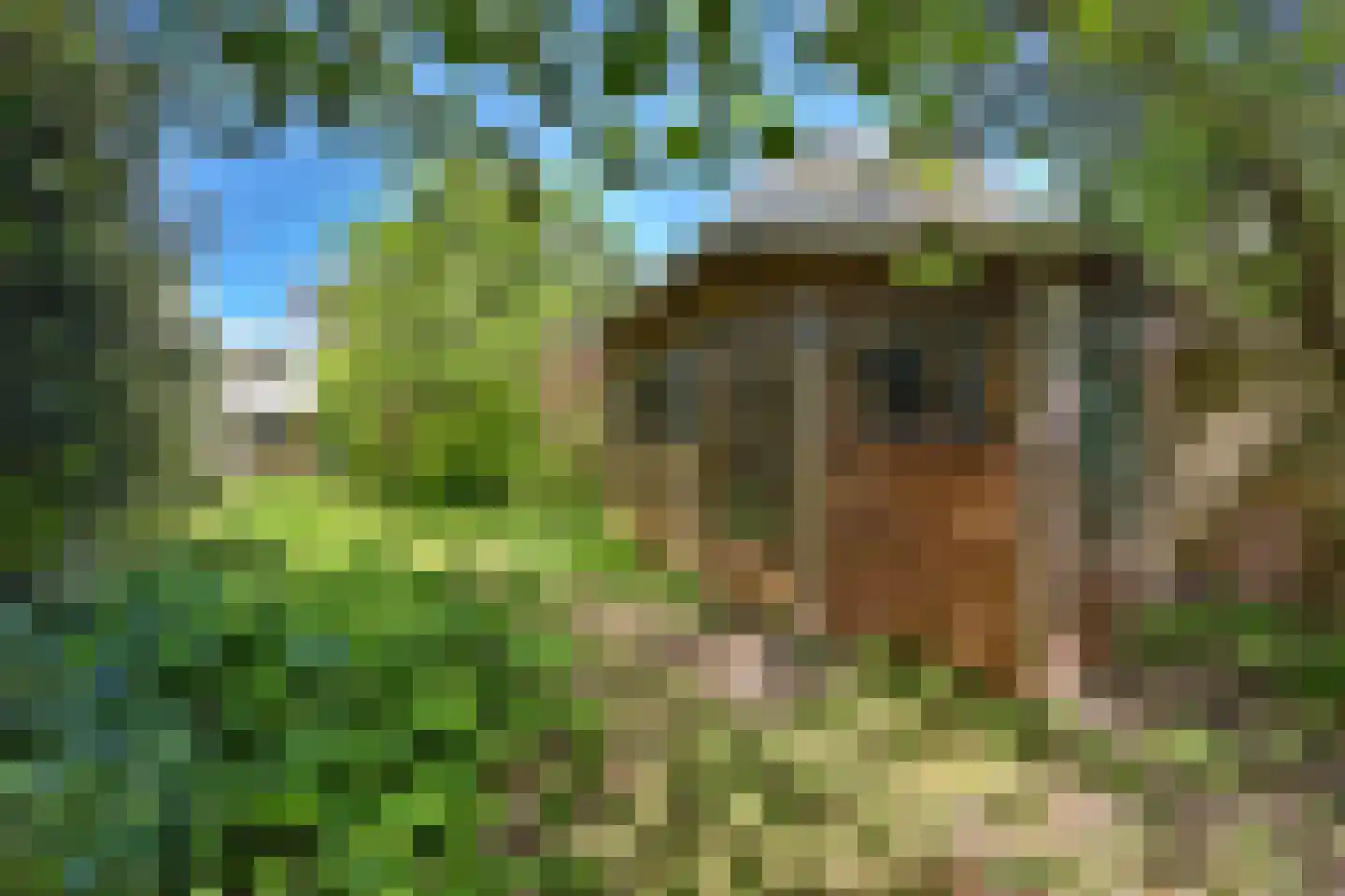 Londiniumdreef 39 Wijk bij Duurstede thumbnail 36