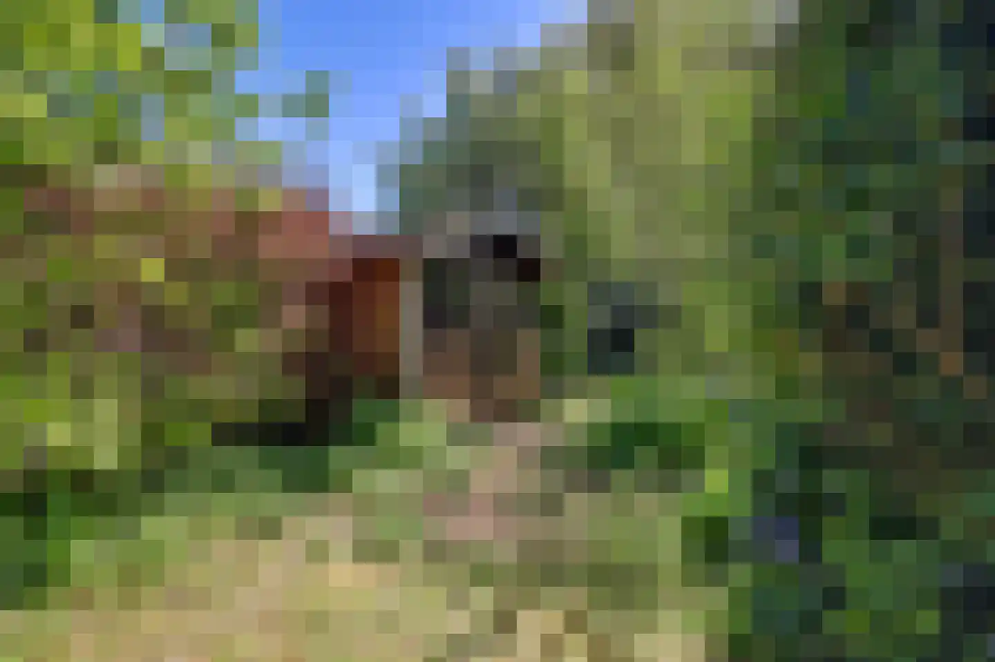 Londiniumdreef 39 Wijk bij Duurstede thumbnail 37