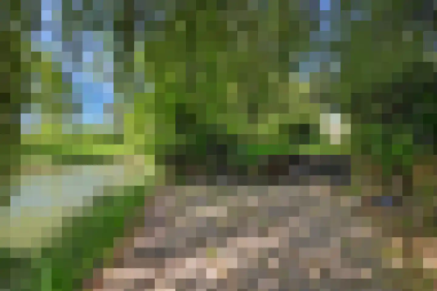 Londiniumdreef 39 Wijk bij Duurstede thumbnail 4