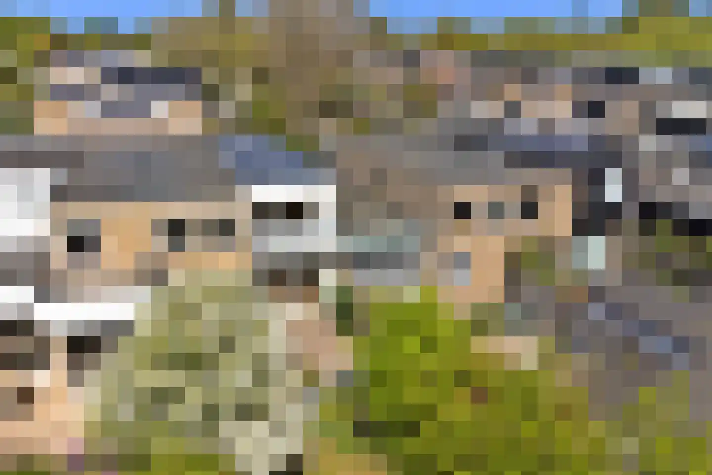 Londiniumdreef 39 Wijk bij Duurstede thumbnail 43