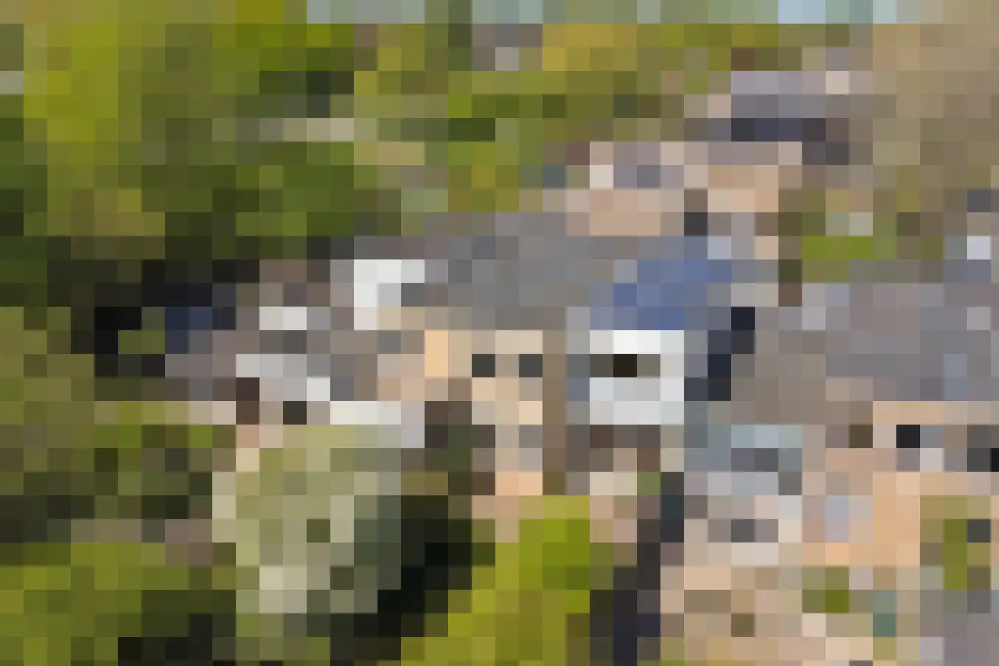Londiniumdreef 39 Wijk bij Duurstede thumbnail 44
