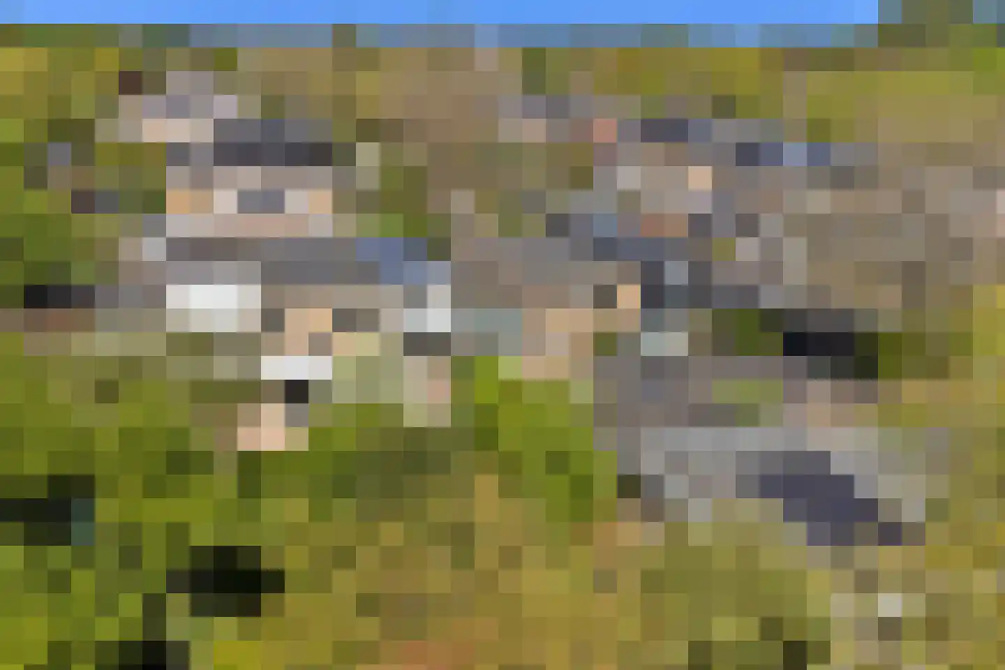 Londiniumdreef 39 Wijk bij Duurstede thumbnail 46