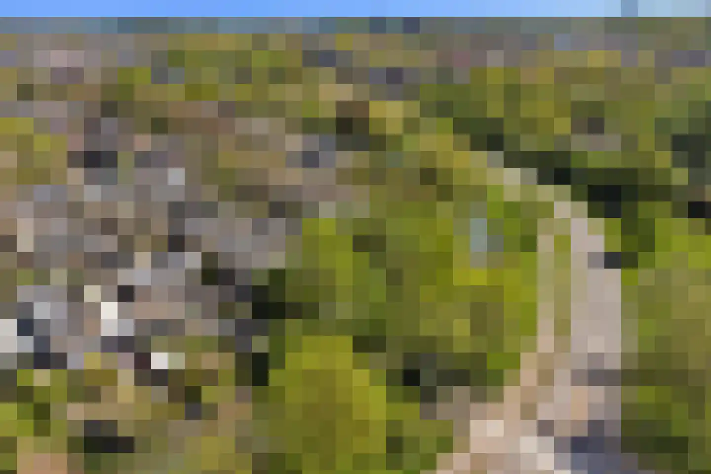 Londiniumdreef 39 Wijk bij Duurstede thumbnail 48
