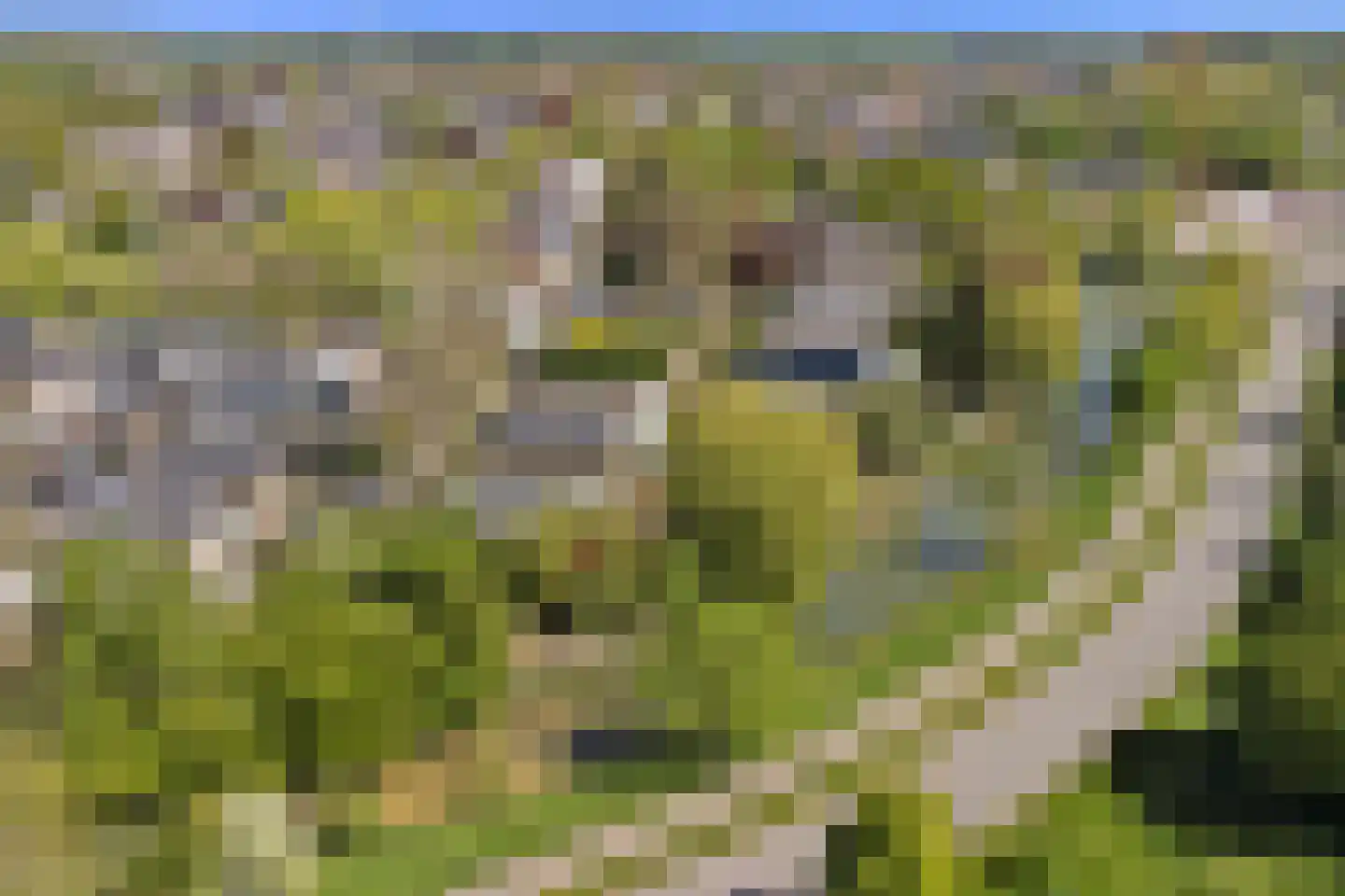 Londiniumdreef 39 Wijk bij Duurstede thumbnail 49