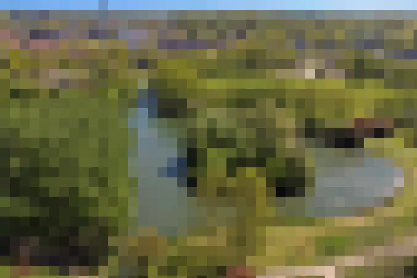 Londiniumdreef 39 Wijk bij Duurstede thumbnail 51